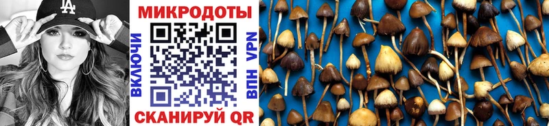 купить наркотик  Иноземцево  Псилоцибиновые грибы Cubensis 